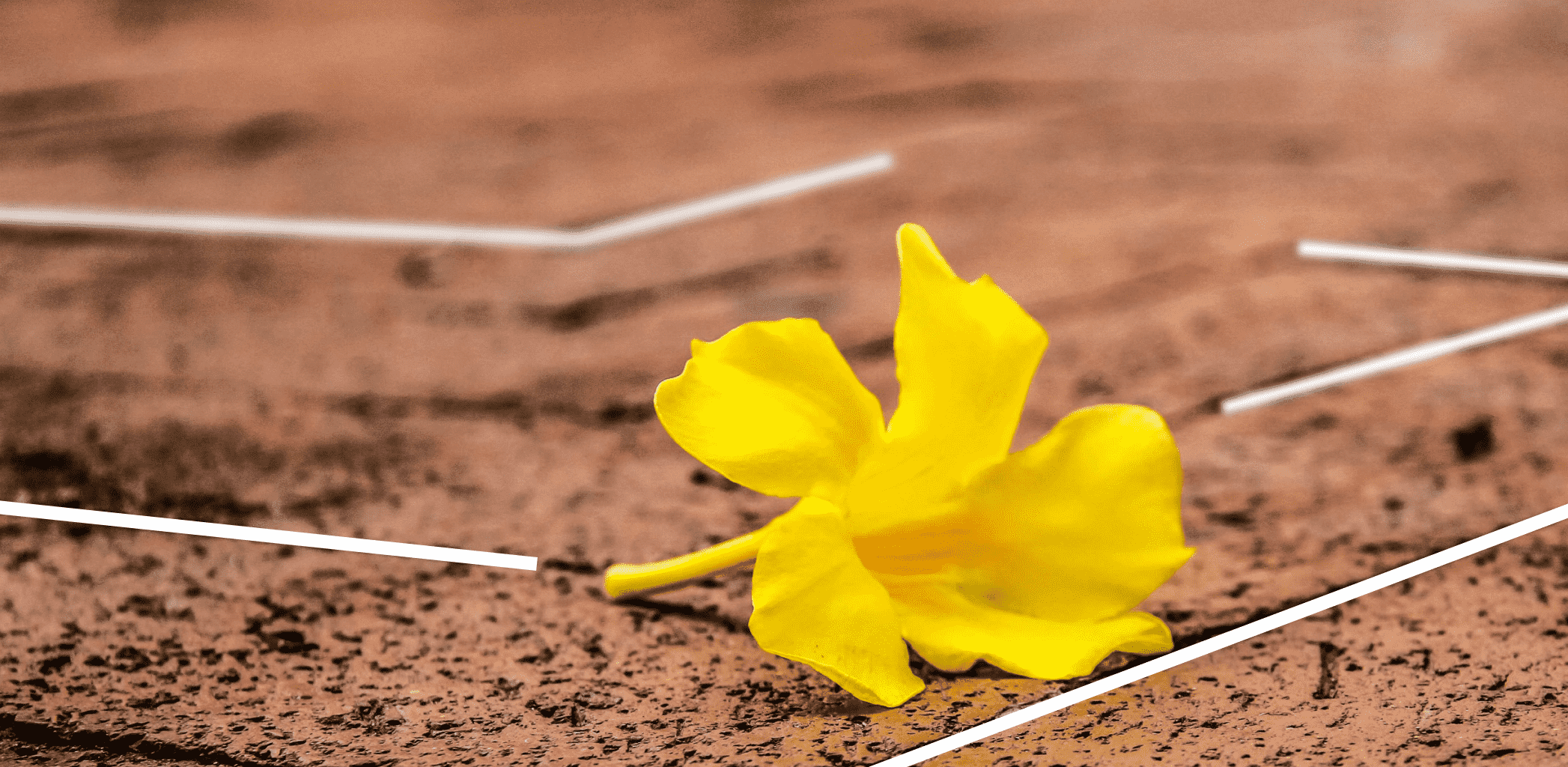 Как выбрать качественные строительные материалы